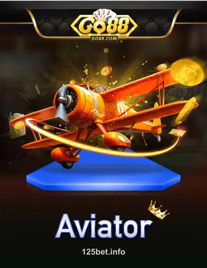 Go Aviator Portrait